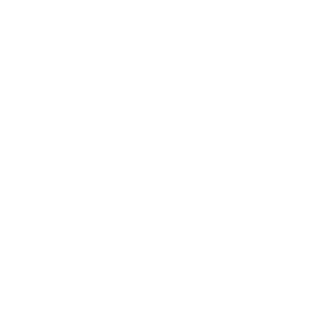 WhatsApp Icon